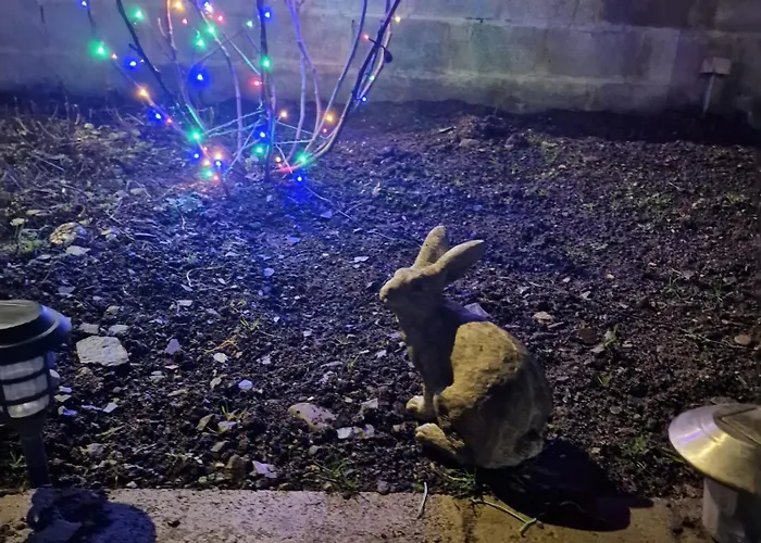 Gasthuis Famenne Escape